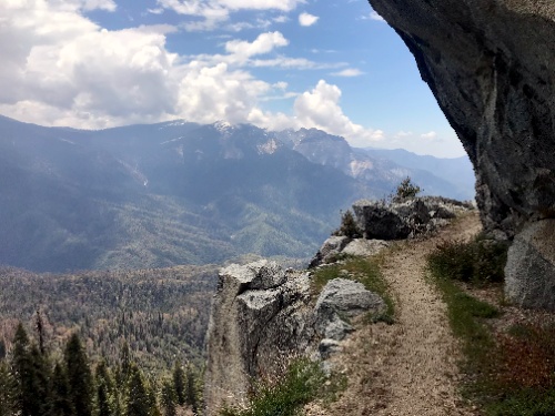 The Path Least Traveled Is the One We Refused Responsibility