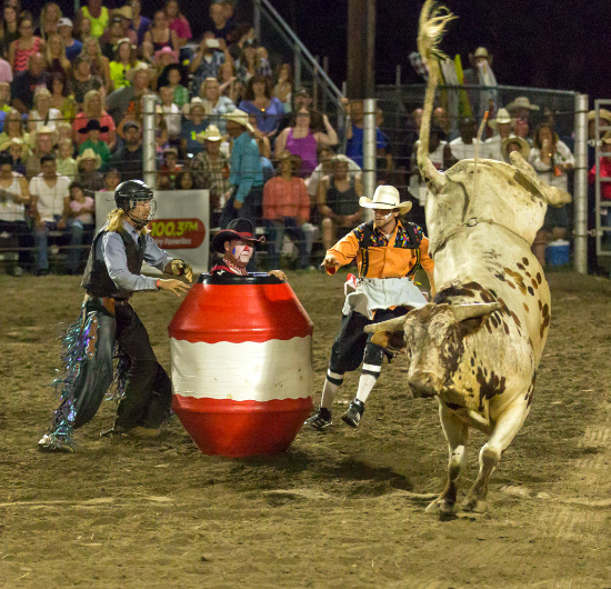 No AI Governance is a Rodeo without Clowns